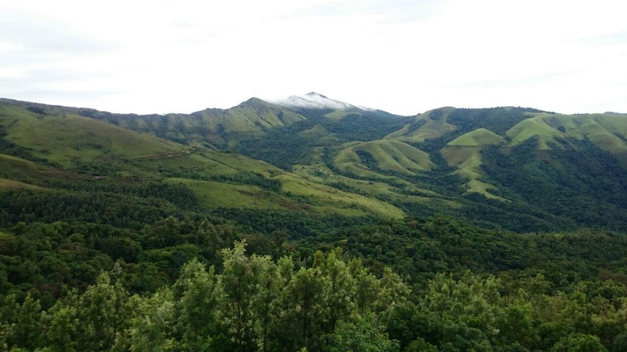 The Greenwood Resort Chikmagalur - Escape To Tranquil Mountain Views 외부 사진